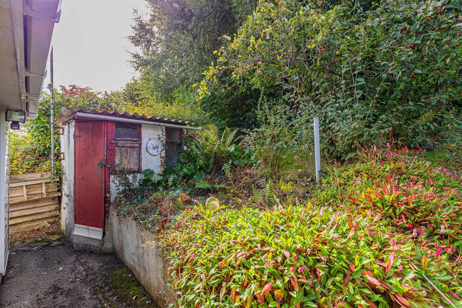 Coed Leddyn, Pwllypant, Caerphilly — photograph 4